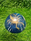 Vintage Scorpion Paperweight Taxidermy Lucite 3 1 2  Bugs
