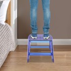 Clear Step Stool Protable Stepping Ladder For Indoor Outdoor Library Kitchen Use