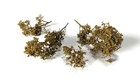 Woodland Scenics   Ho Scale   Brambles   All Game Terrain   Fall   Br6480