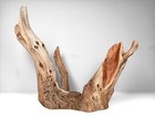 22 5  Manzanita Driftwood Tree  Reptile Enrichment  Aquascaping  Aquarium Decor
