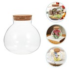 Clear Glass Vase Terrarium Jar With Cork Lid For Plant Arrangement