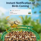 Smart Bird Feeder With Camera Solar Powered Solar Roof - New