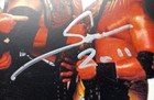 Samu Headshrinkers Signed Photo Wrestling Autograph Wrestler Autographed Wwe