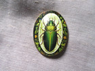 Xl Glass Picture Button  Large Realistic Green Beetle Bug Green Flowers Border