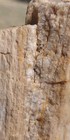 4 1 2lb Petrified Wood Tower Display W Grain Bark Quartz Pockets   Veins Display