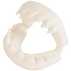 Great White Shark Teeth