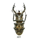 Insect - H6979  Lucanidae  Lucanus Thibetanus Furcifer-giant 81 7mm  Vietnam