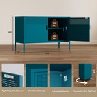 Metal Storage Cabinet 2 Door Tv Stand  Metal Mesh Accent Cabinet