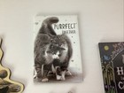 Lot 6 Cat Kitten Kitty Fridge Magnets