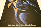 Tool Event Poster 2019 Rose Gold Foil Adi Granov   250 Werchter Belgium Vg 