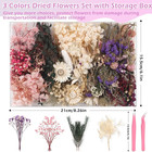 Real Dried Flowers 100  Natural Dried Flowers  Mixed Colors Dried Leaf Flowers F