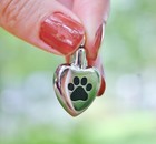 Cremation Jewelry Pendant Urn For Ash Paw Print Heart Pet Dog Cat Memorial Gift 