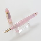 Limited Edition Shosaikan 25th Pilot Customs 743