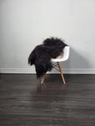 Genuine Icelandic Sheepskin Rug   Sheepakin Pelt   Soft Silky Long Wool  c735