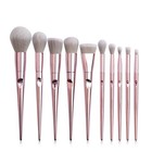 10pc Makeup Brush Set Rose Gold Kitten Paw Foundation Concealer Powder Blush Kit