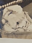 Rare Old Vintage Photo Baby In Basket No Face Covered Abstract