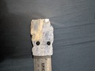 Blue Kyanite With Calcite Inclusions Crystal Buddy Approx  3 In