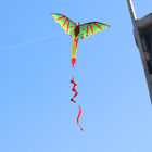 New 3d Single Line Green Dragon Kites Outdoor Fun Sports Beach  Single Line Kite