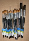 Princeton Aqua Elite 16 Watercolor Artist Paint Brushes New 4850 Art Kolinsky