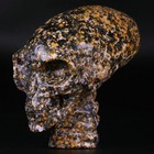 4 0    Ocean Jasper Carved Crystal Alien Skull  Realistic  Crystal Healing