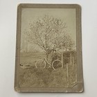 Antique Photograph On Board Beautiful Young Woman Bicycle Hat Blossoming Tree