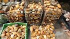 Island Agate Rough  1 Pound Lots
