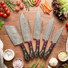 Hand Forged Kitchen Knives Damascus Steel Chef Knife Set 5 Pcs Wood Handle