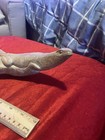 Hand Carved Wooden Lizard Statue Sculpture Art Decor Driftwood 9   