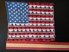 Handmade Nanduti Usa Flag - Artisan Lace Craft Of Paraguay - United States