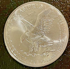 2025 1 Oz   999 American Silver Eagle b u  Purchased From Apmex   Gemmy
