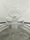 Teavana Perfectea Maker Loose Leaf Tea Infuser Dark Green 16 Oz Steeper