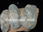 Beautiful Oviraptor Dinosaur Egg Nest     Three-egg Fossil Cluster