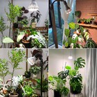 Grow Light Bulb Dimmable Br30 30w 40w Indoor Plants Full Spectrum Remote Control