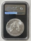 2018 1oz American Silver Eagle Coin Ngc Ms 70 Mike Castle Signed