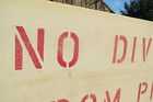 18 Inch Wood No Diving From Pier Hand Made Sign Nautical Seafood   s581 