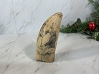 Very Nice Detailed Scrimshaw Sperm Whale Tooth Resin Replica Steamboat Village
