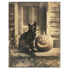 Vintage Black Cat Photography Art Print Jack O Lantern  Halloween Artwork Decor
