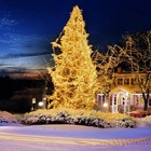 Twinkle Led Fairy String Lights Christmas Tree Wedding Xmas Indoor Outdoor Decor
