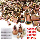 600pcs Rivet Nut Kit Mixed Zinc Steel Rivnut Insert Nutsert Threaded Set M3-m10