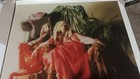 Stevie Nicks  24 Karat Gold Rare Limited Edition Poster 1781 2000 24x18
