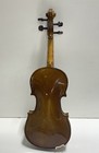 Stentor Brown Violin