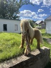 Hasbro Furreal Friends Butterscotch Life-size Animatronic Plush Pony Horse As Is