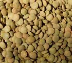 Dried Lentils Bean Bulk Wholesale Size Lot 2 4 6 10 20  Lbs Pantry Diner Kitchen