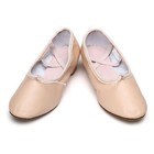 Women Ladies Practice Teacher Shoes Ballroom Ballet Canvas Leather Dance Black