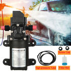 70w Fuel Transfer Pump 12v Oil Diesel Gas Gasoline Kerosene Car Tractor Truck Rv