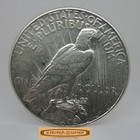 1925 Peace Silver Dollar -  c58810nq