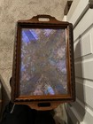 Vintage Blue Real Butterfly Wing - Iridescent Morpho Brazilian Large Tray