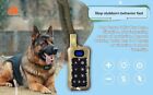 Remote 2 Dog Training Shock Collar Underground Electric Containment Fence Combo