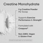 Sports Research Creatine Monohydrate Creapure Nsf Sport 90 Servings Unflavored