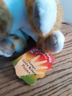 New With Tags Folkmanis Orange Tabby Kitten Cat Hand Puppet Orange   White